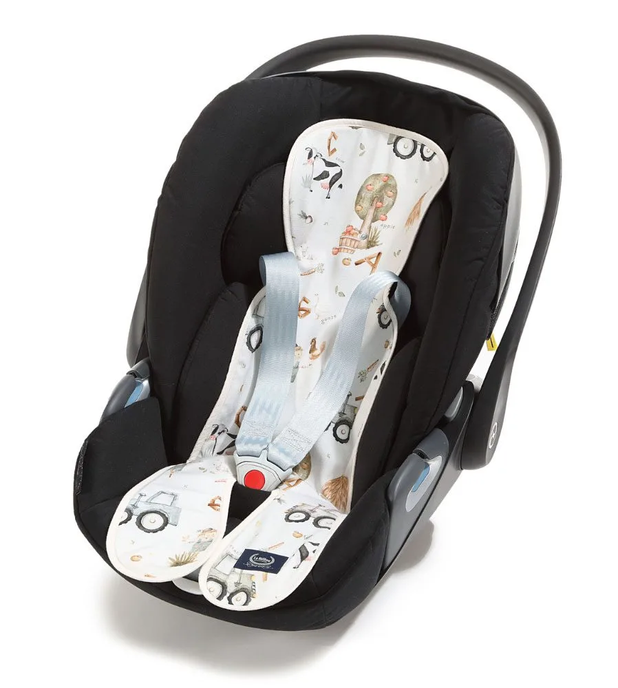 ΠΡΟΣΤΑΤΕΥΤΙΚΟ-ΚΑΘΙΣΜΑΤΟΣ-ΑΥΤΟΚΙΝΗΤΟΥ-LA-MILLOU-FARM-_2α_