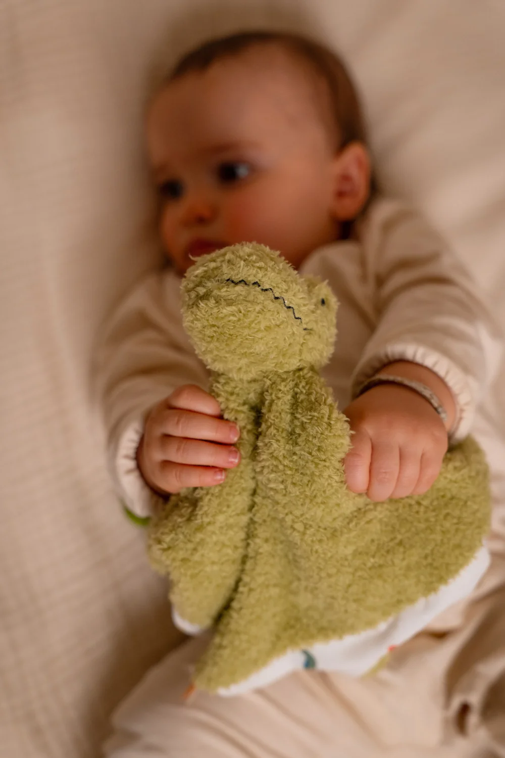 comforter-tyrannosaurus-3