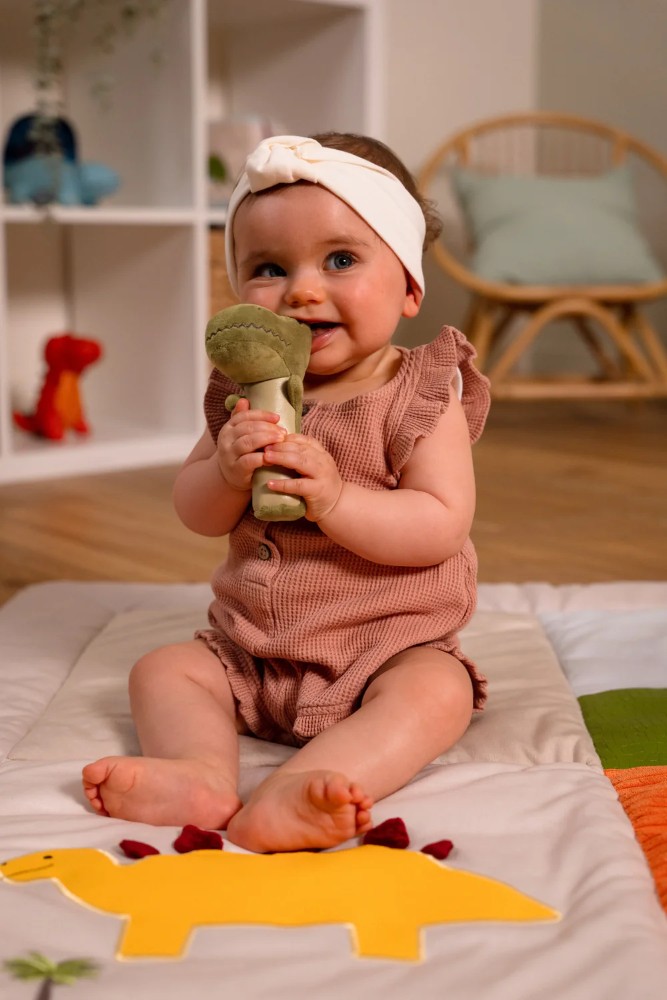 squeaker-tyrannosaurus-3