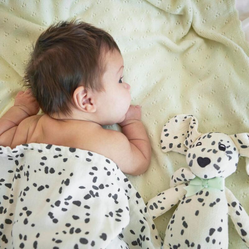 Παιδικό Μαλακό Παιχνίδι Dalmatian Dots Elodie (1)